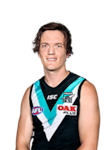 Jared Polec profile picture
